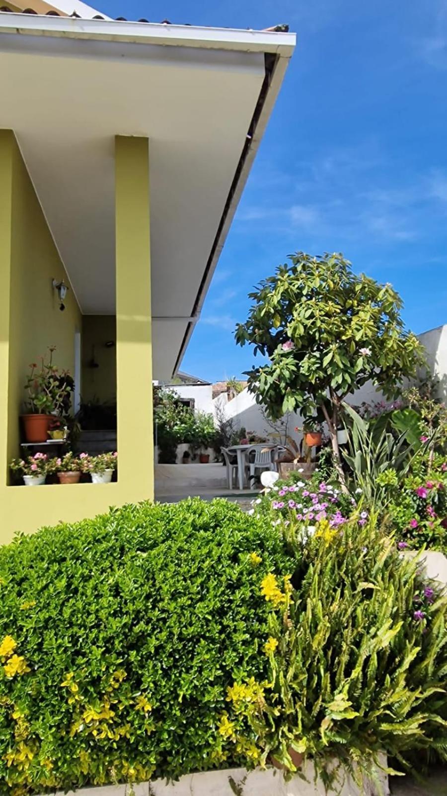 Appartement Corazon Do Val Da Lourina-Area Vigo à Pontevedra Extérieur photo